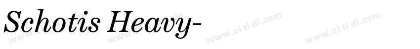 Schotis Heavy字体转换